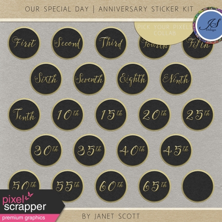 Our Special Day - Anniversary Sticker Kit