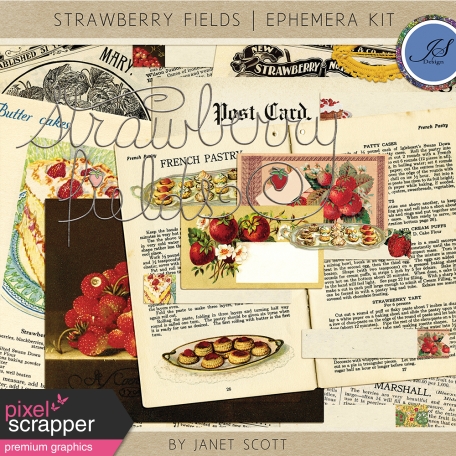 Strawberrry Fields - Ephemera and Tag Kit