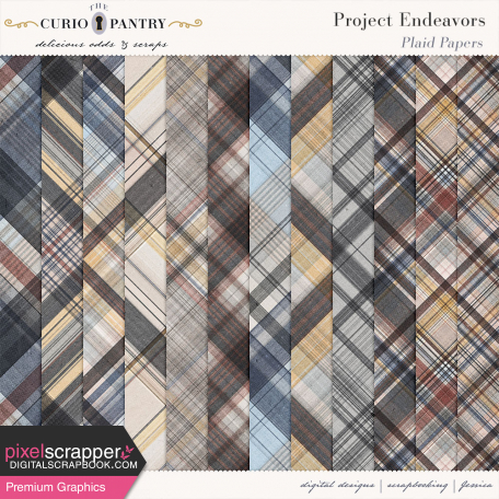 Project Endeavors Plaid Papers