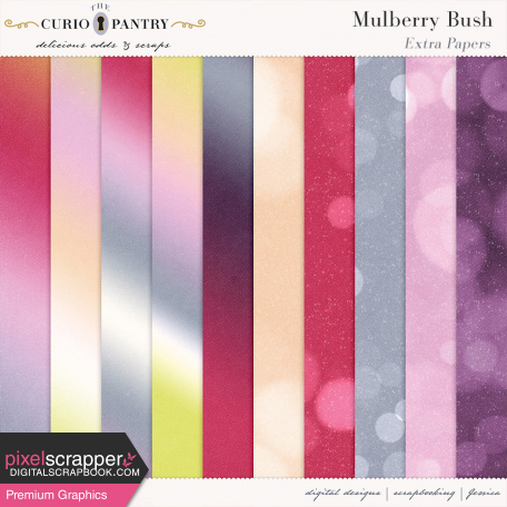 Mulberry Bush Extra Papers