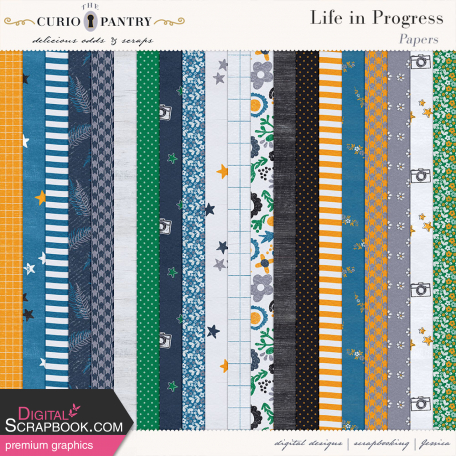 Life in Progress Papers