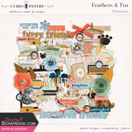 Feathers and Fur Elements