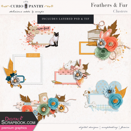 Feathers and Fur Clusters