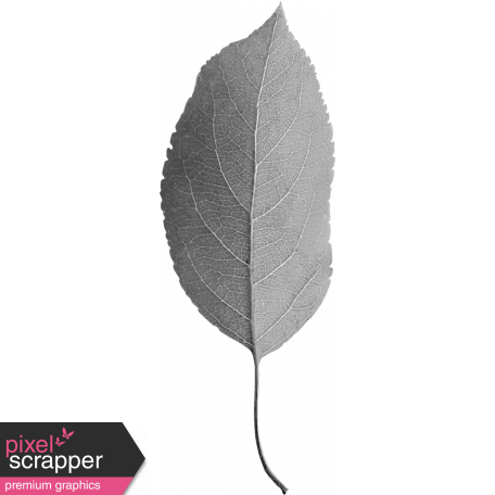 Leaf Template 022