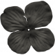 No Tricks, Just Treats- Black Solid Flower #01