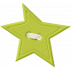 Lil Monster- Green Star Button