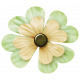 Oh Lucky Day- Light teal &amp; Cream Clover Flower
