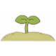 Little Sprout Sticker