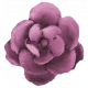Enchanted - Purple Rose