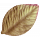 Oh Baby, Baby- Brown Craft Leaf