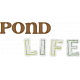 Pond Life- Pond Life Word Art