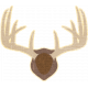 Outdoor Adventures- Sticker- Wall Mounted Antlers