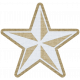 Navy Star 02