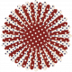 USA Polka Dot Flower