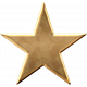 USA Gold Star 1