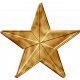 USA Gold Star 2