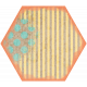 Bee Hexagon 05