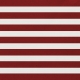 July Fourth Paper- Stripes