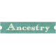Family Tag- Ancestry