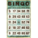 Bingo Card- Blue