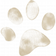 Pet Paw Stamp