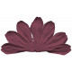 DST Nov 2013- Purple Flower