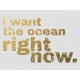 Ocean Right Now- Golden Ocean Journal Card