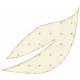 Notebook Leaf 6