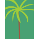 Palm Tree Journal Card- Mexico