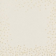 Garden Party Dot Border Paper