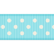 Medium Ribbon - Polka Dots 01 - Aqua & White
