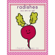 The Veggie Patch Cards Kit- Radishes