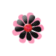 Pink Black Flower