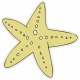 Beachy!- Starfish Sticker