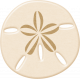 Sand And Beach- Sand Dollar