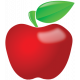 A Bouquet of Freshly Sharpened Pencils- Apple