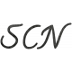 Tiny, But Mighty SCN Word Art