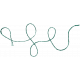 The Lucky One- Teal Curly Twine