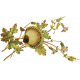 Pond Life- Plant 3