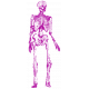 Spook Skeleton Purple