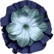 Vintage Memories Kit: Flower 01