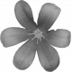 Flower Templates 04 Kit: flower01 (grayscale)