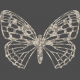 Liwen lace butterfly