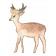 Watercolor Deer with Flower Garland Chipboard