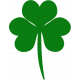 Saint Patrick Shamrock