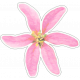 Pink Watercolor Flower Sticker