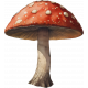 Mushroom 2