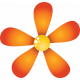 Funshiny Orange Flower