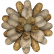 Neutral Flower 04