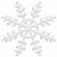 Snowflake 16